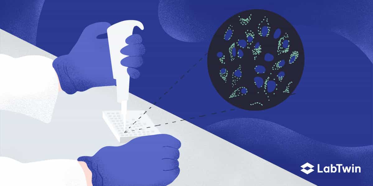 cell-based assay procedure