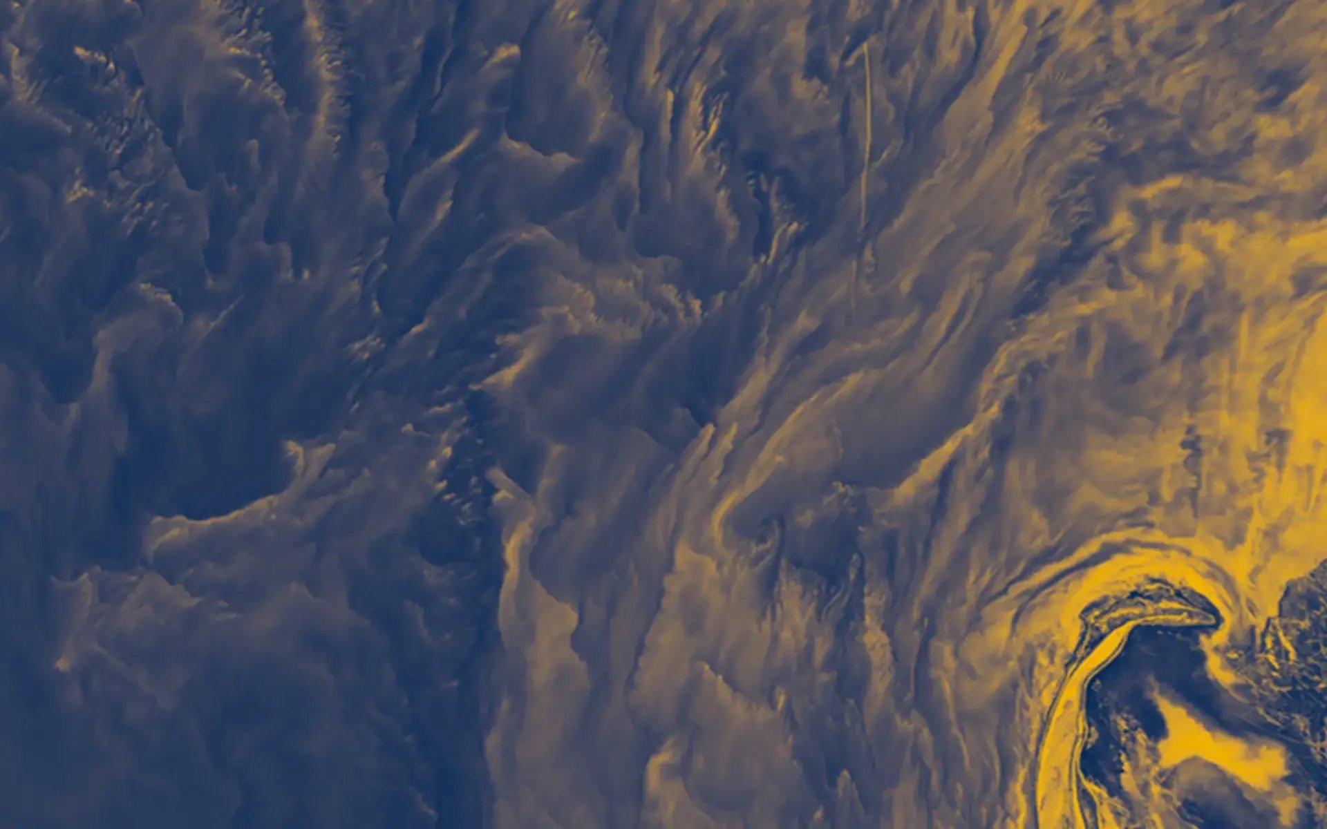 yellowbackground (1)
